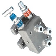 2 DM 1 MANIFOLD